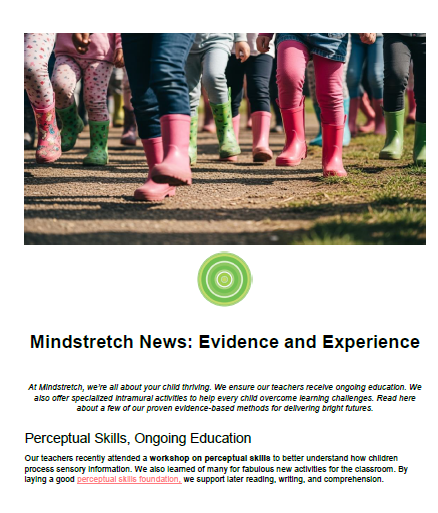 Evidence and Experience - Mindstretch School - Special Needs School in Cape Town
